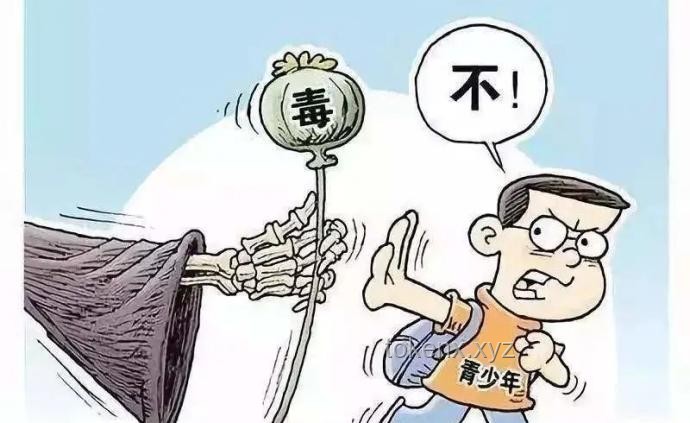 美国社会镜像：毒品、暴力与政治正确的多维透视🔍💭
